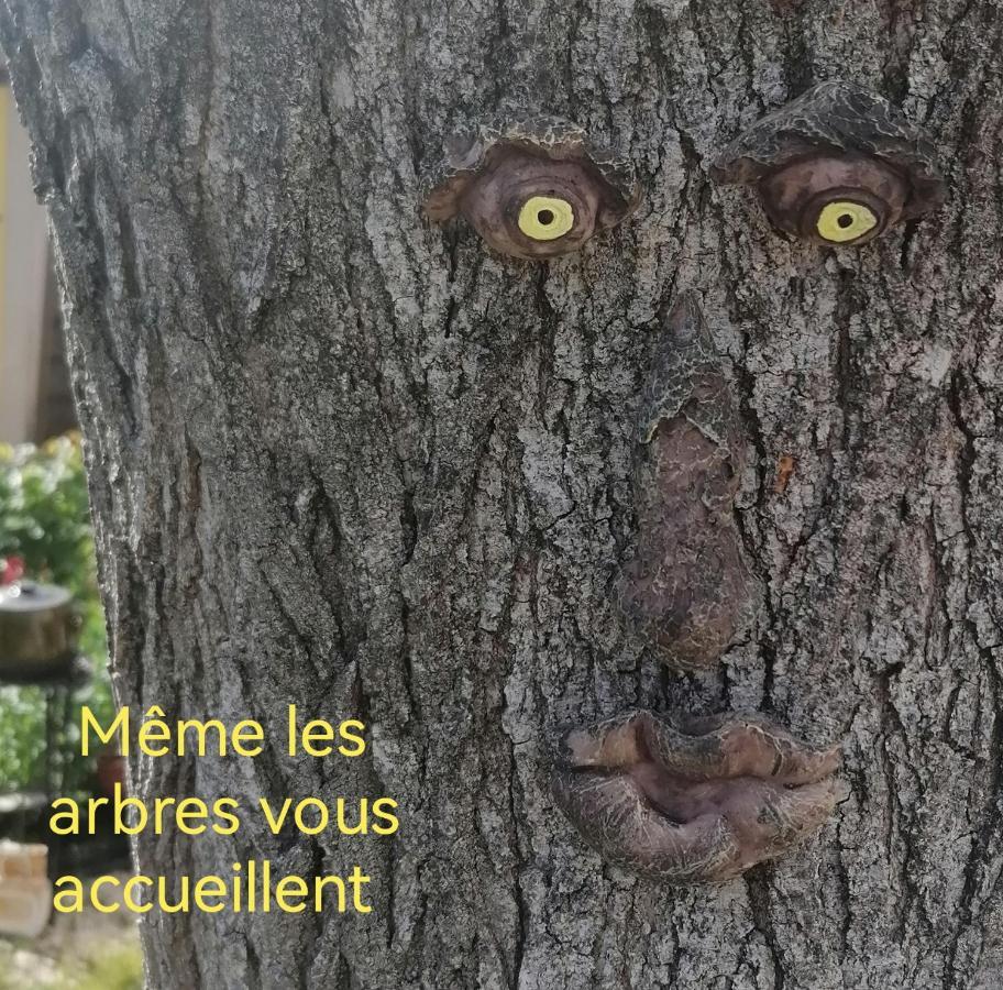 La Fee Viviane Et Michel L'Enchanteur Robion en Luberon Eksteriør bilde
