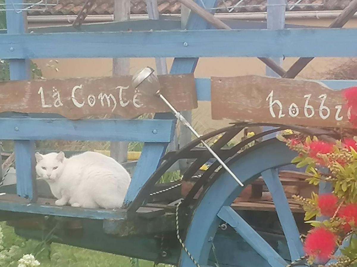 La Fee Viviane Et Michel L'Enchanteur Robion en Luberon Eksteriør bilde