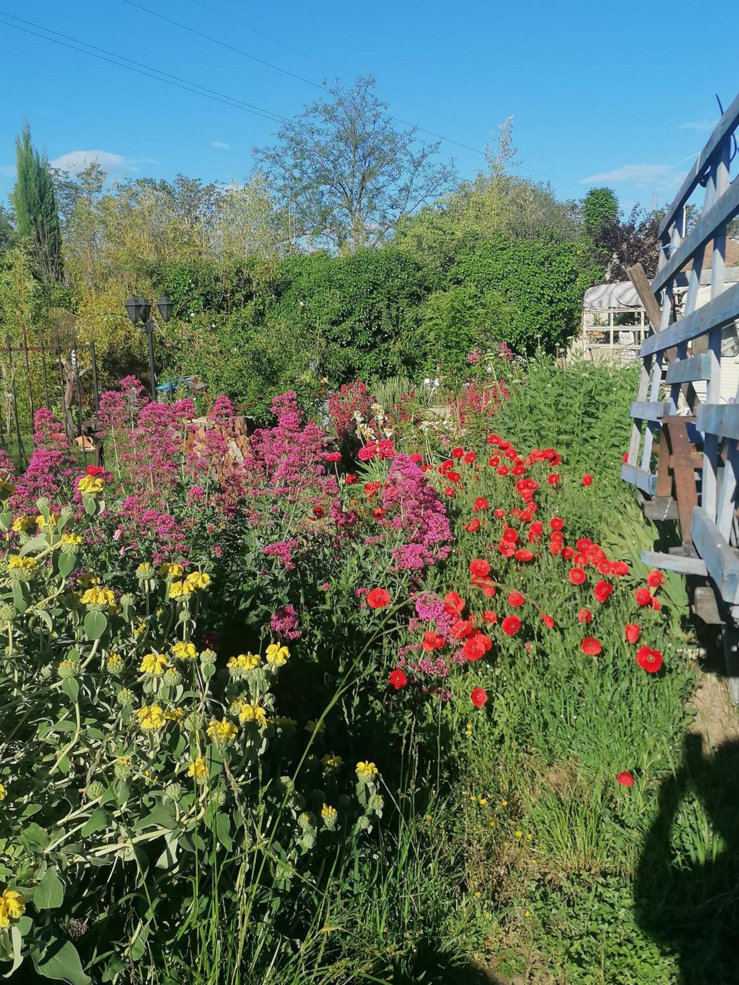 La Fee Viviane Et Michel L'Enchanteur Robion en Luberon Eksteriør bilde