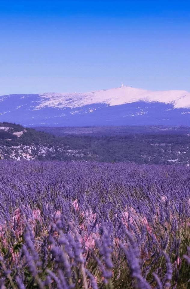 La Fee Viviane Et Michel L'Enchanteur Robion en Luberon Eksteriør bilde